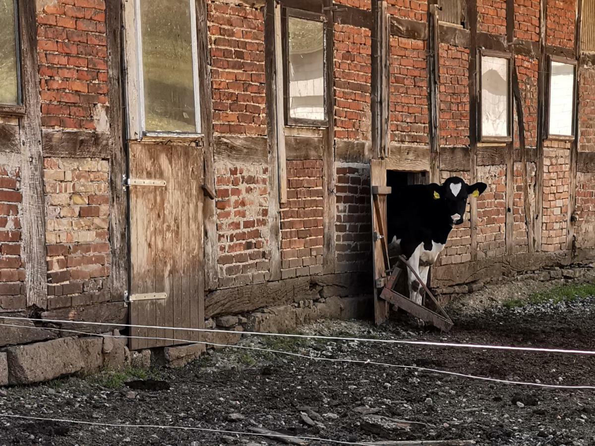 Ferienhof Ehlers Hulsede Extérieur photo